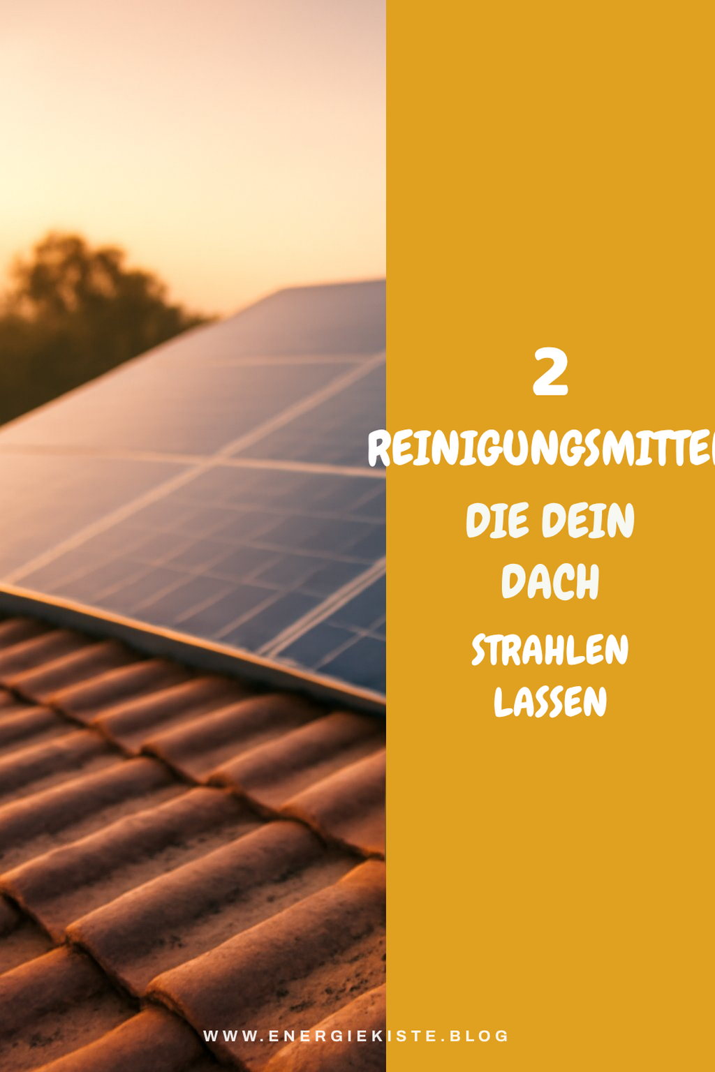 Diese Reinigungsmittel machen die Arbeit leichter