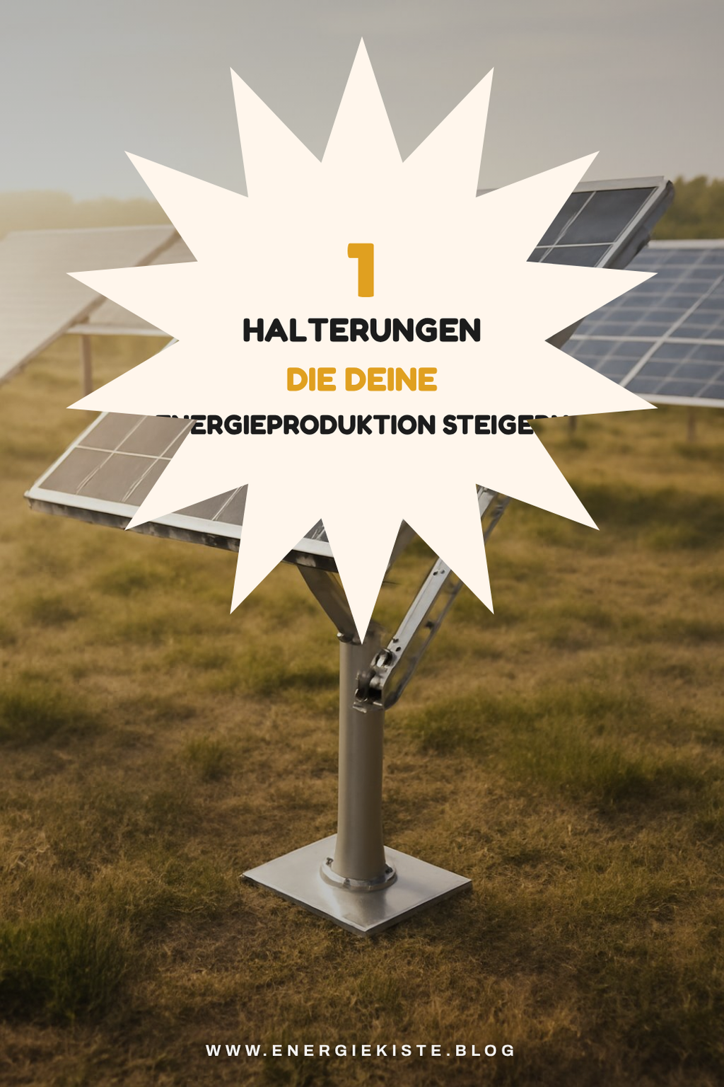 Mehr Empfehlungen aus dieser Kategorie