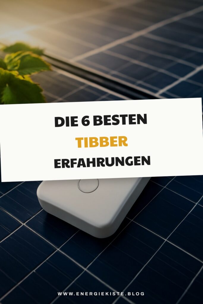 Die 6 besten Tibber Erfahrungen im Test 2026