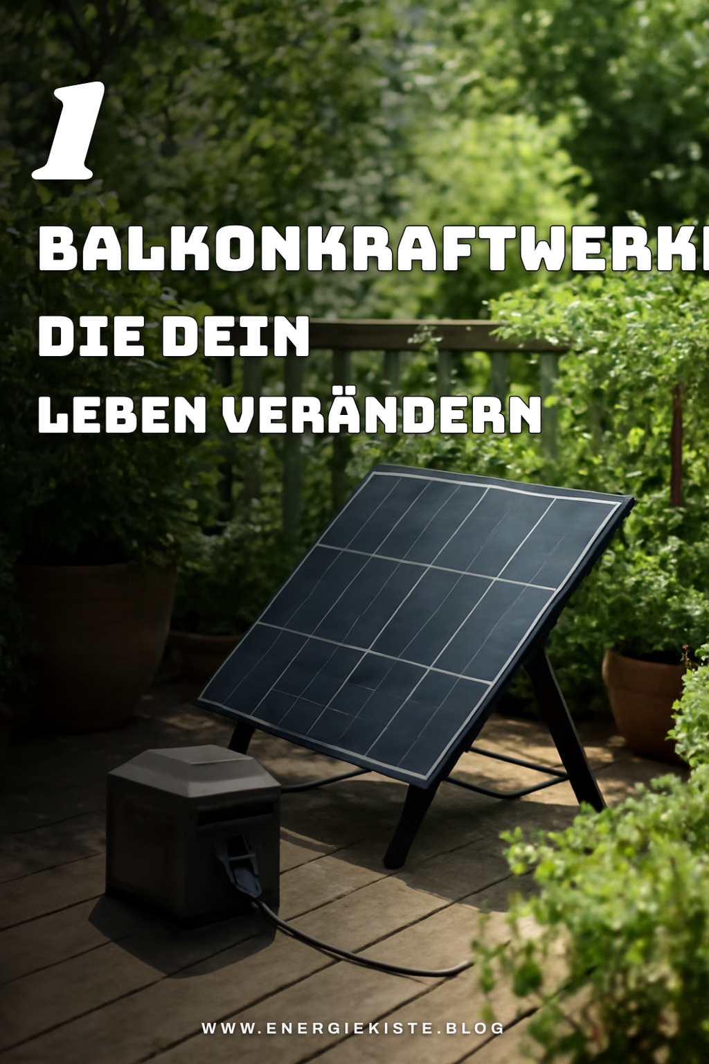 Bonus-Ideen für mehr Auswahl