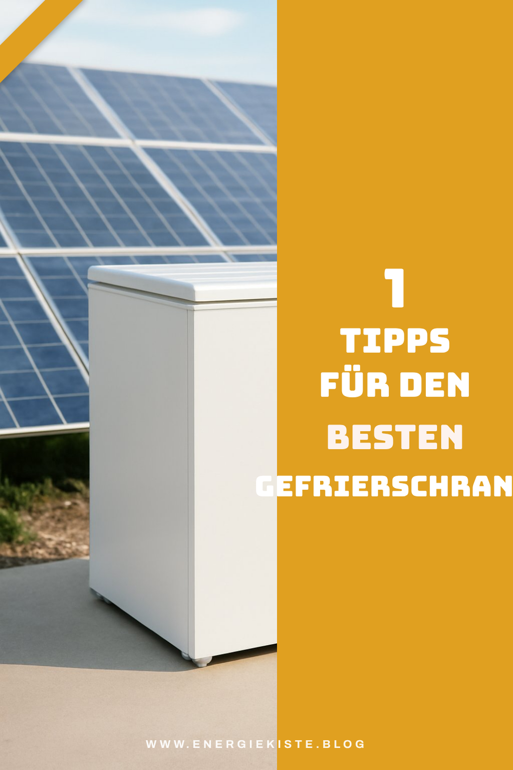 Mehr Empfehlungen aus dieser Kategorie
