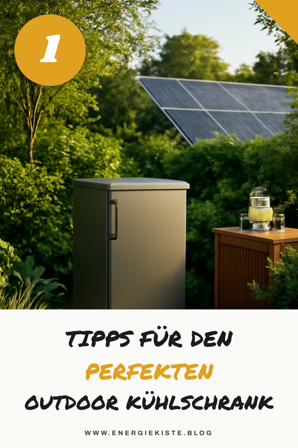 Mehr Empfehlungen aus dieser Kategorie