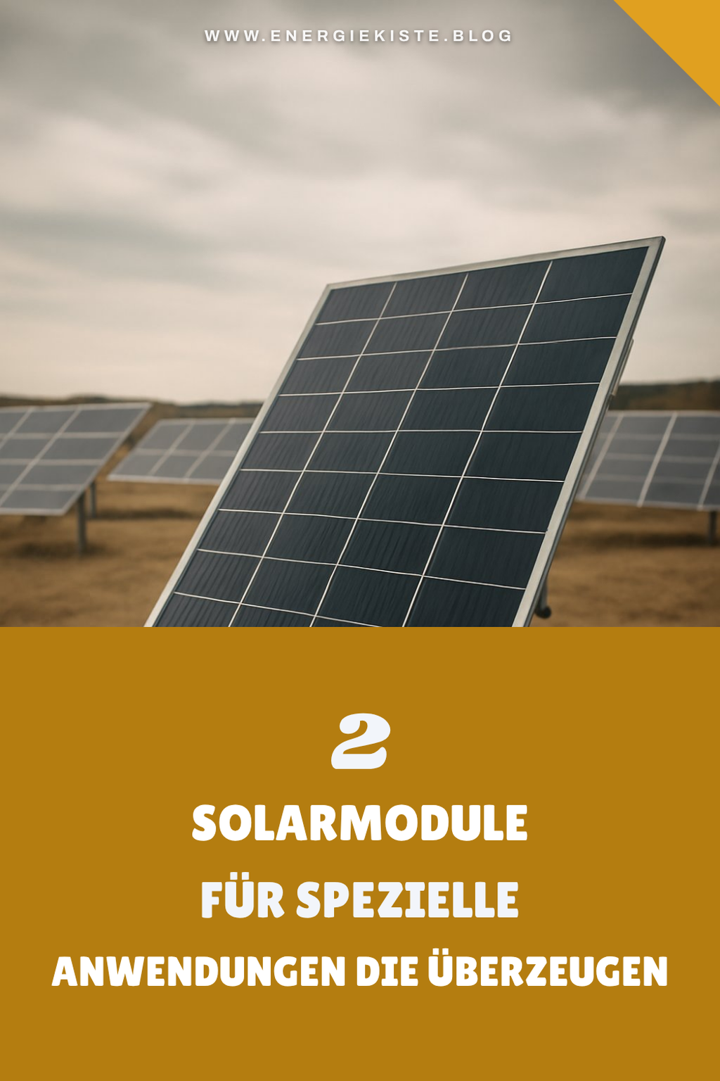 Solarmodule für spezielle Anwendungen