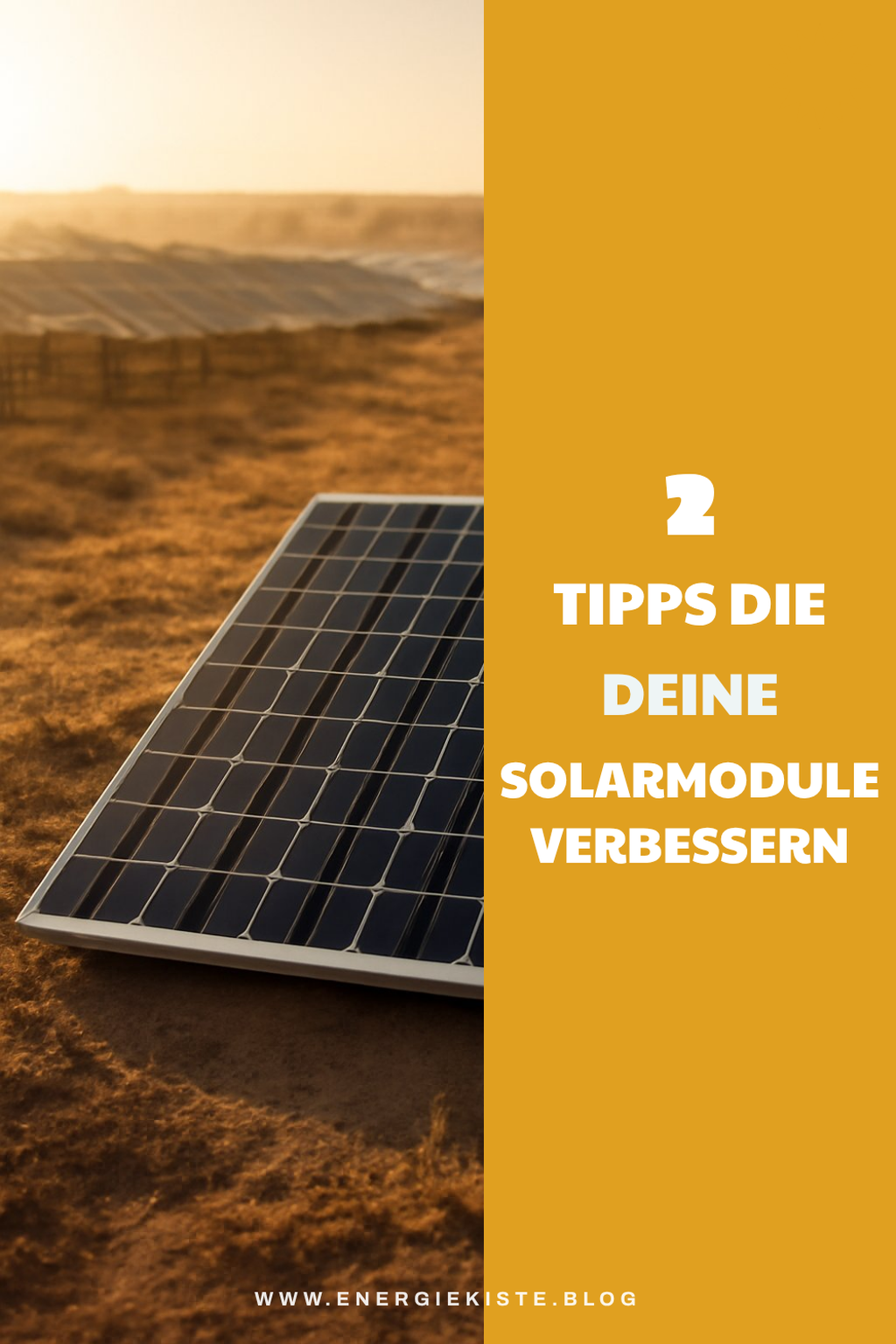 So findest du die besten Solarmodule für dein Zuhause
