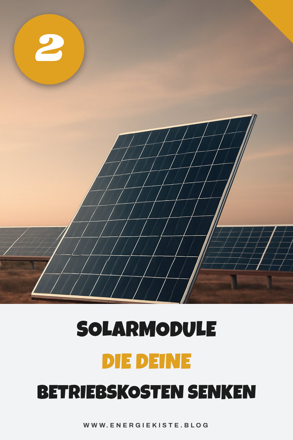 Effiziente Solarmodule für Unternehmen