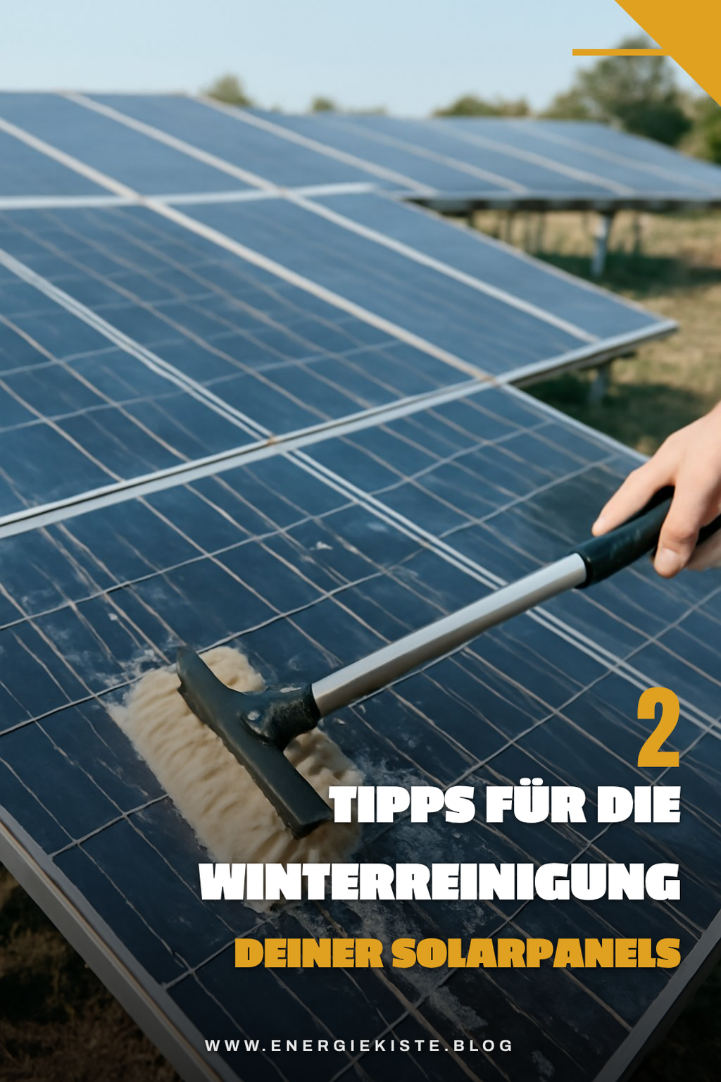 Tipps für die Reinigung im Winter