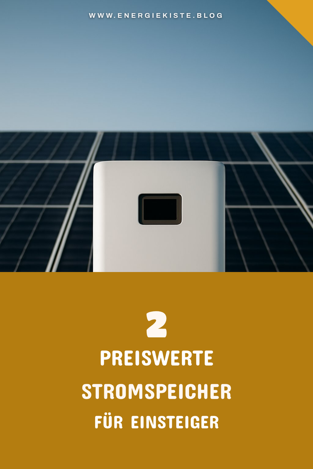 Diese 2 preiswerten Optionen sind für Einsteiger
