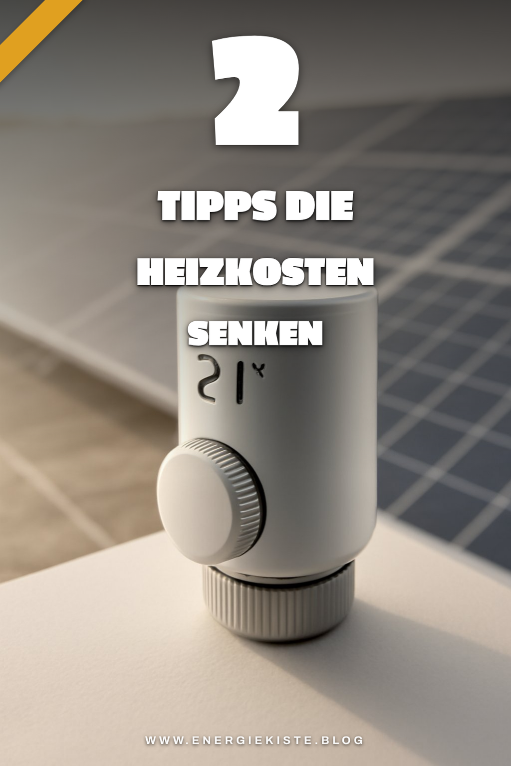 Expertenrat für effiziente Heizstrategien