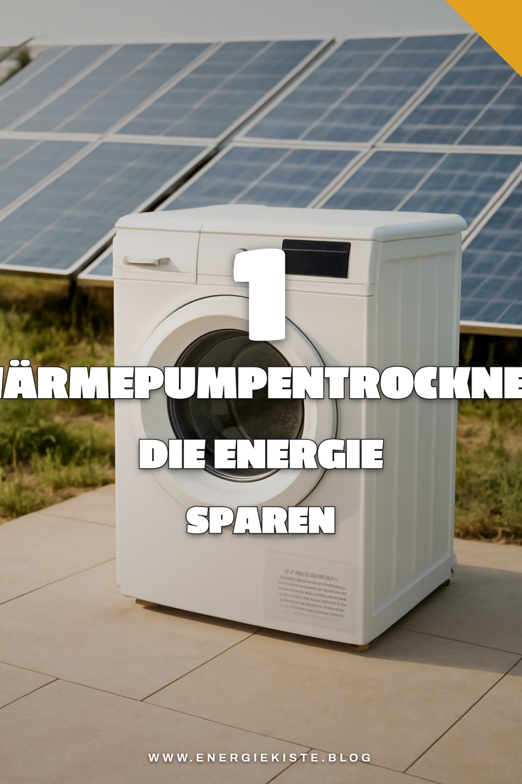 Bonus-Ideen für mehr Auswahl