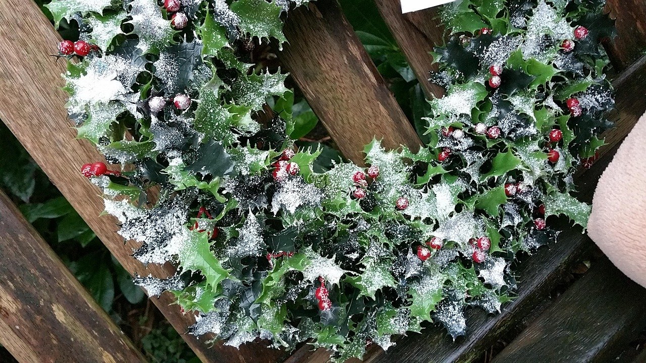 Schlichte Weihnachtsdeko außen: Stärken und Schwächen — Hero-Aufnahme